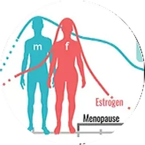 Hormones / PMS / Anxiety illustration